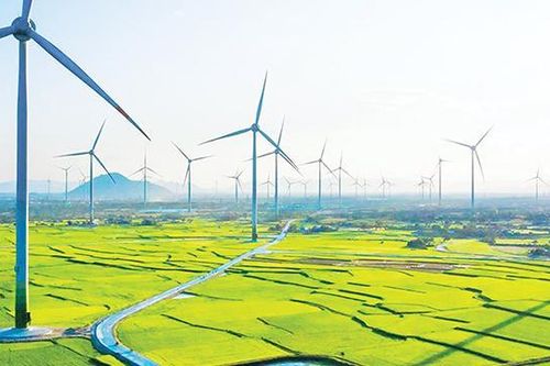 Nhiều doanh nghiệp ngại đi trên 'con đường màu xanh'
