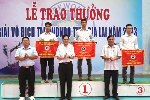 Ươm mầm tài năng Taekwondo