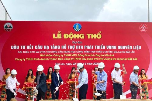 Động thổ dự án đầu tư kết cấu hạ tầng hỗ trợ hợp tác xã phát triển vùng nguyên liệu