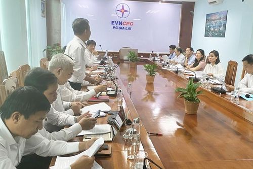 Đảng bộ Khối các Cơ quan và Doanh nghiệp tỉnh: Nâng cao hiệu quả công tác kiểm tra, giám sát