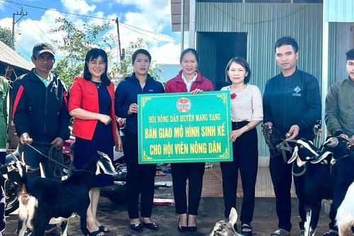 Mang Yang: Trao mô hình sinh kế cho nông dân có hoàn cảnh khó khăn