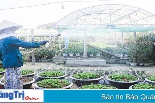 Thúc đẩy phát triển nông nghiệp đô thị ở Đông Hà