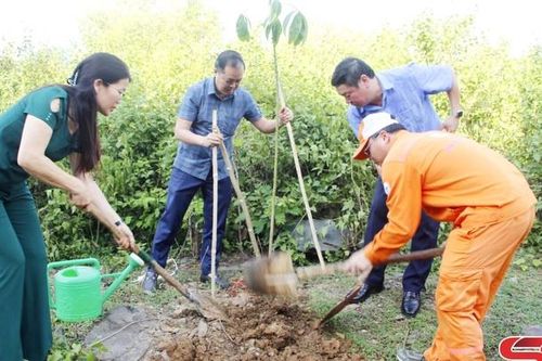 Phát động trồng cây chào mừng Cách mạng tháng Tám và Quốc khánh 2/9