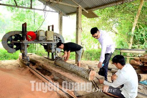 Xưởng mộc ở bản Dao Xuân Đức