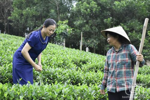 Nữ cán bộ nông dân nhiệt tình, trách nhiệm