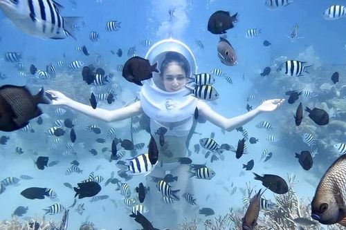 Nha Trang: Đề xuất mở lại điểm lặn biển Hòn Mun