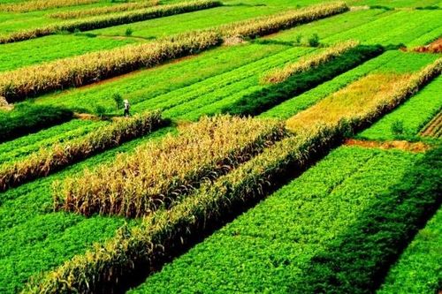 Tận dụng nguồn lực cộng đồng để thực hiện chiến lược phát triển nông nghiệp nông thôn