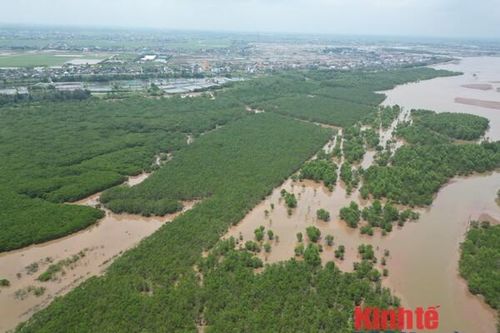 PGS.TS Lưu Đức Hải: Tỉnh Thái Bình cần xem xét kỹ hoạt động 'lấn biển'