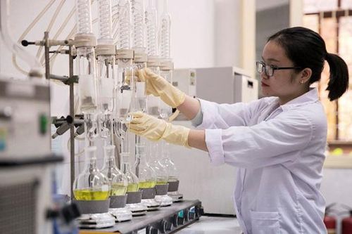 Cần chính sách đồng bộ trong thu hút, trọng dụng nhân tài