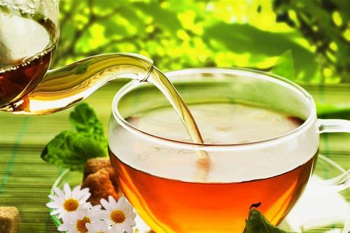 Nước nhân trần có tác dụng gì?