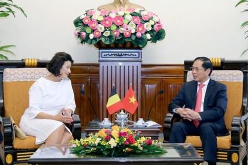 Đề nghị Bỉ sớm thông qua Hiệp định bảo hộ đầu tư Việt Nam - EU (EVIPA)