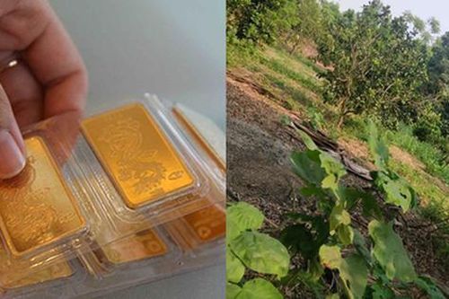 Có nên mua mỗi tháng 1 chỉ vàng để tích lũy?