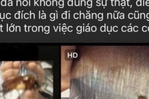 Tin mới vụ côn trùng trong suất ăn của học sinh trường Newton 5: Ảnh mờ nên trường khó xác định là ong hay gián