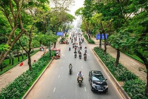 Cải thiện mảng xanh đô thị