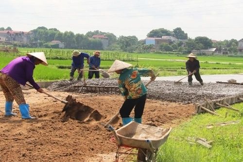 Nhiều chuyển biến từ xây dựng nông thôn mới
