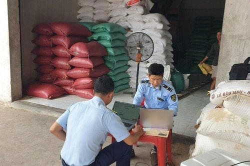 Kiểm tra, xử lý nghiêm việc đầu cơ, tăng giá gạo