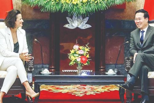 Việt Nam - Bỉ thúc đẩy hợp tác nhiều lĩnh vực