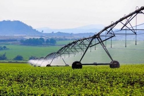 Để doanh nghiệp xây dựng thương hiệu xanh gắn với phát triển bền vững