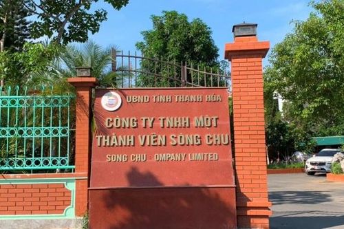 Nhiều cán bộ là người nhà Chủ tịch công ty Sông Chu xin thôi nhiệm vụ