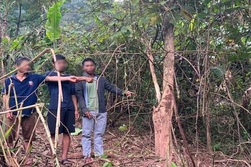 Bắt 3 đối tượng trộm trâu rồi xẻ thịt chia nhau