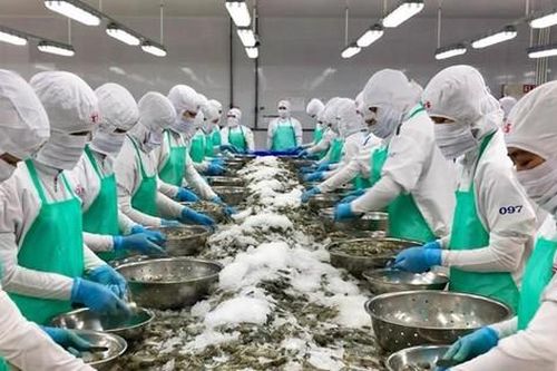 Doanh nghiệp chật vật giữa 'vòng vây' tỷ giá