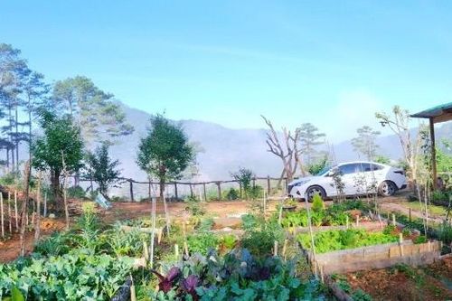 Vợ ước có nhà ở Đà Lạt, chồng tặng luôn 40.000m2 đất trồng rau nuôi cá