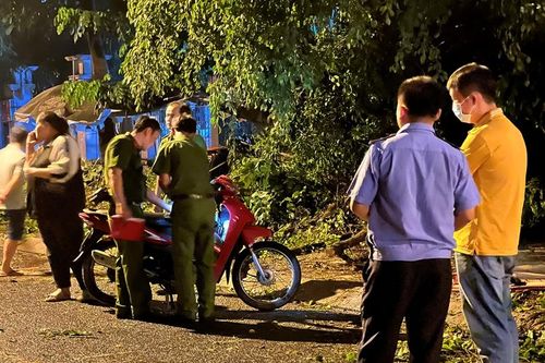 Đứng trú mưa, cây xanh bật gốc đè 2 người thương vong