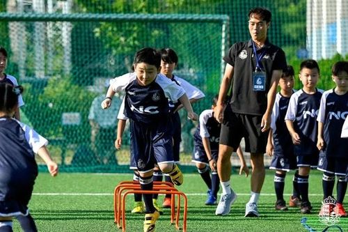 Văn Toàn bất ngờ xuất hiện với vị trí huấn luyện viên ở Hàn Quốc; Viettel FC thâu tóm nhiều giải thưởng trước trận hạ màn V-League 2023