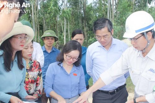 Đoàn đại biểu Quốc hội tỉnh khảo sát việc thực hiện Nghị quyết số 36 của Quốc hội tại thị xã Hoàng Mai và huyện Diễn Châu
