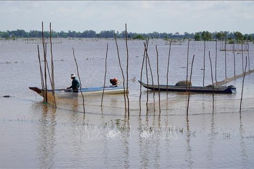 Người dân vùng đầu nguồn mưu sinh trong mùa lũ
