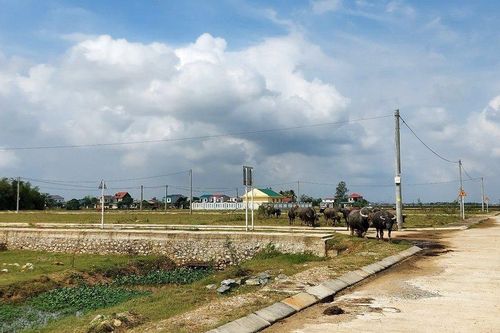 Dự án tái định cư khẩn cấp hơn 10 năm vẫn chưa đưa vào sử dụng