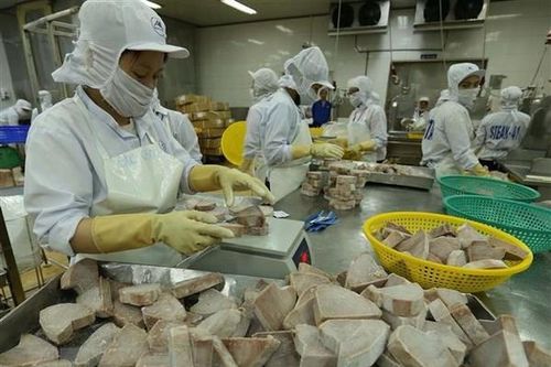 Vietfish 2023 có hơn 200 đơn vị triển lãm với trên 420 gian hàng