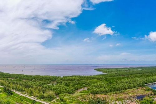 Đề nghị Thái Bình làm rõ thông tin 'xóa sổ' Khu Bảo tồn thiên nhiên đất ngập nước Tiền Hải
