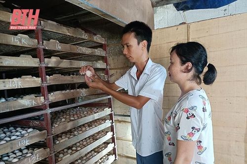 Tình yêu viết nên câu chuyện cổ tích