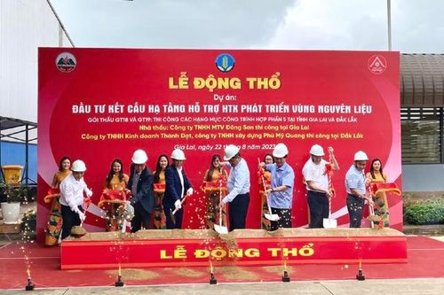 Xây dựng đồng bộ hạ tầng vùng trồng cà phê, nâng tầm sản phẩm xuất khẩu