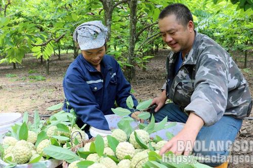 Các cấp hội nông dân huyện Hữu Lũng: Đổi mới phương thức thu hút, tập hợp hội viên
