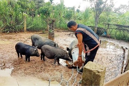 Phát huy vai trò người có uy tín trong cộng đồng