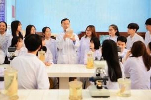 Tạo điều kiện, hỗ trợ tối đa cho sinh viên Sư phạm Huế