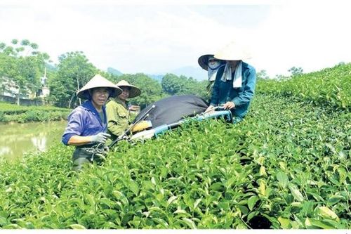 Tháo gỡ điểm nghẽn chậm giải ngân vốn cho chương trình giảm nghèo