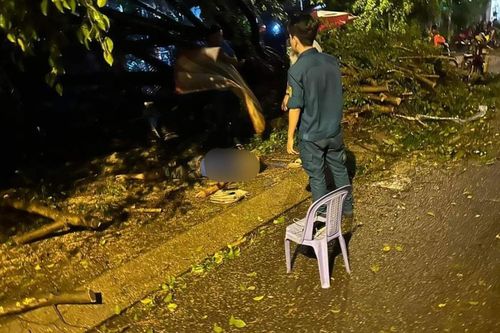 TP.HCM: Trú mưa dưới tán cây, người đàn ông bị cây đè tử vong