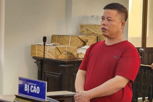 Tài xế lãnh án 2 năm tù vì không cứu giúp người bị nạn
