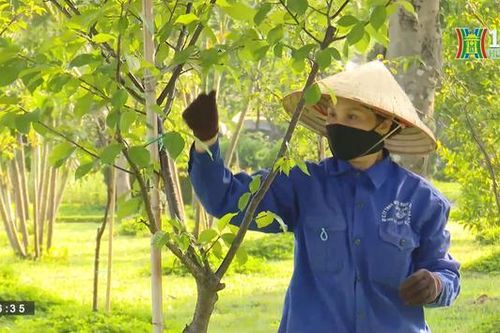 Những người âm thầm làm đẹp công viên hòa bình | Người tốt quanh ta | 23/08/2023