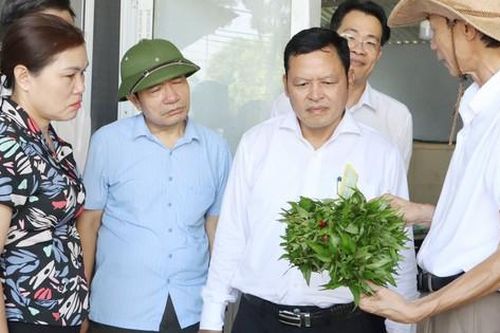 Chuyển đổi số - 'chìa khóa' cho Nông nghiệp bứt phá