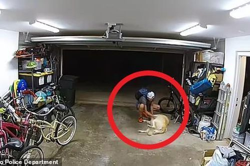 Trộm vào tận gara lấy đi chiếc xe đạp trị giá 30 triệu, chủ 'tăng xông' khi xem camera an ninh