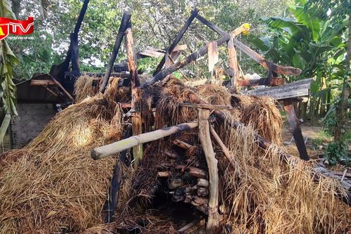 Bị khởi tố vì đốt chuồng bò của nhà người yêu