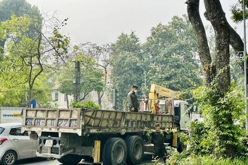 Nỗi lo trong mùa mưa bão