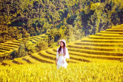 Khách Việt nhộn nhịp đặt tour mùa Thu