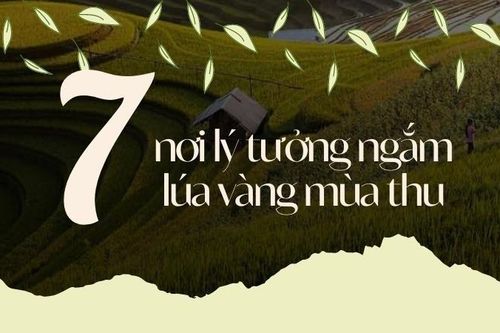 7 nơi lý tưởng ngắm lúa vàng mùa thu