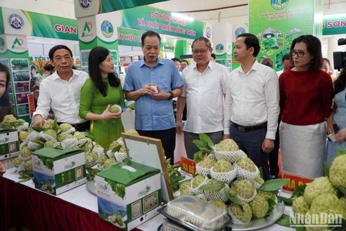 Khai mạc phiên chợ nông sản, đặc sản vùng miền Lạng Sơn