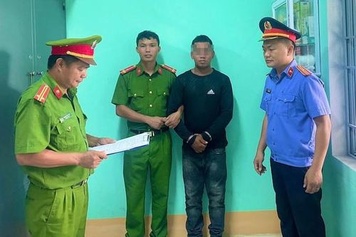 Khởi tố 2 đối tượng chặt phá rừng ở Gia Lai